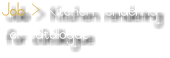Job > Kitchen rendering for catalogue